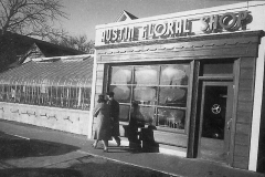 Austin Floral Shop (yr. unknown)