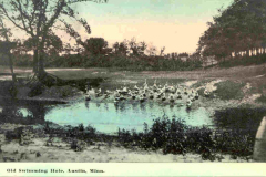 swimming hole cedar river