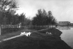 City Park - 1909 Austin, Mn