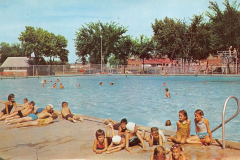 Austin Municipal Pool 1960